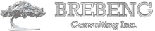 Brebeng consulting Inc.